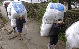 Arrivée des lots de bâches.