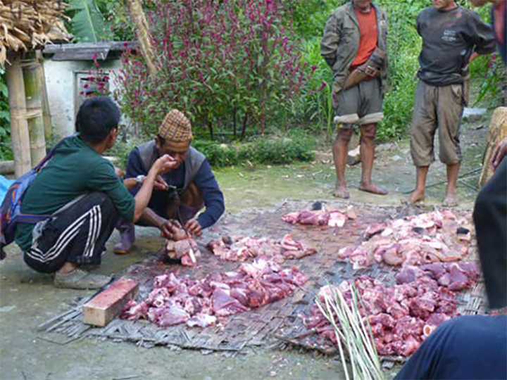 Abattage du cochon